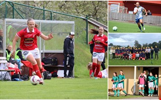 NH betygs�tter damlagens silly season