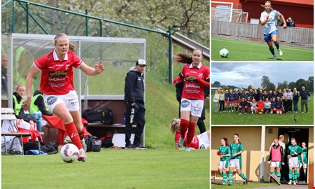 NH betygs�tter damlagens silly season