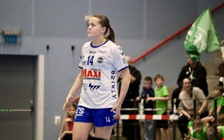 NH erfar: Hit g�r Nova Hall�n