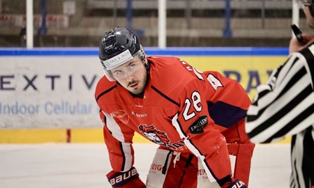 Hanhalskuggen efter f�rlusten: 