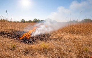 SMHI: �kad risk f�r gr�sbrand i soligt v�der