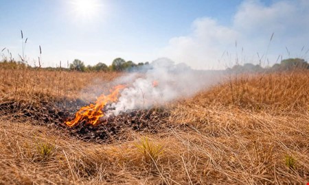 SMHI: �kad risk f�r gr�sbrand i soligt v�der