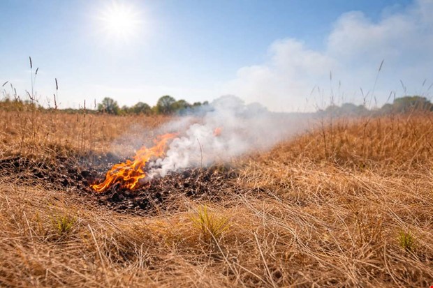 SMHI: �kad risk f�r gr�sbrand i soligt v�der