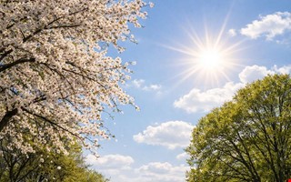 V�ren �r h�r � sol och varmt v�der v�ntar i helgen