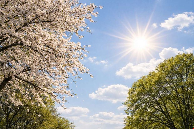 Våren är här – sol och varmt väder väntar i helgen » Norra Halland ...