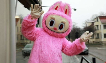 Det udda jobbvalet � livet bakom masken 