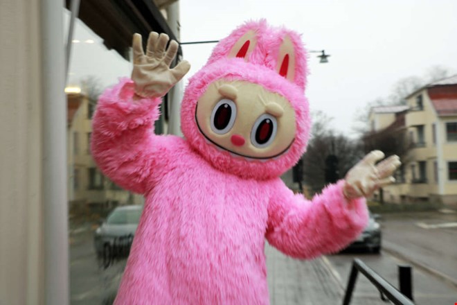 Det udda jobbvalet � livet bakom masken 