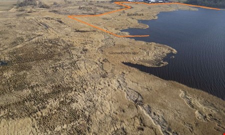 Kossor ska hj�lpa till med att s�kra gamla soptippen