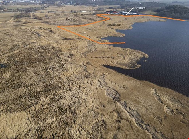 Kossor ska hj�lpa till med att s�kra gamla soptippen