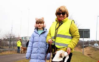 Hundt�ntar har promenerat i tolv �r � se bilderna 