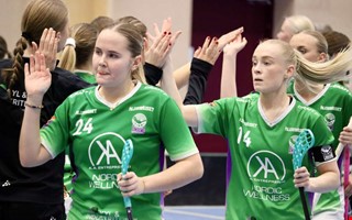 J�ttedramat: Undvek fiasko med ynka ett m�l