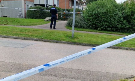 Handgranaterna i Fj�r�s � nu �talas de misst�nkta 