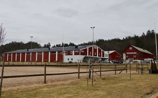 H�stvirusets effekter forts�tter hos ridklubbarna