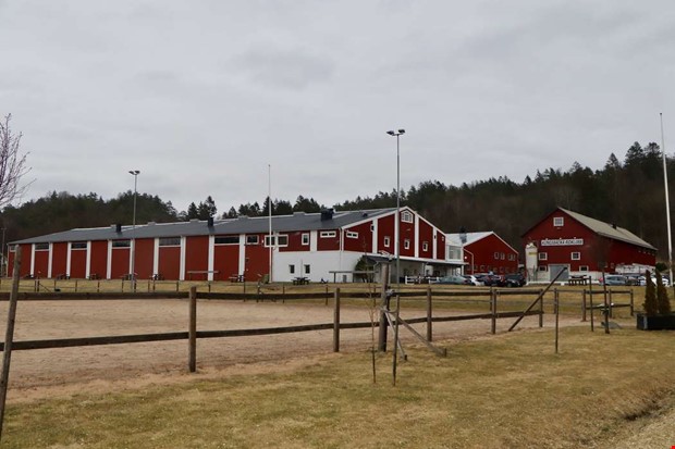 H�stvirusets effekter forts�tter hos ridklubbarna