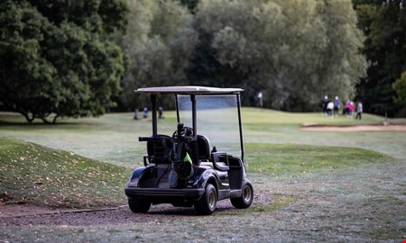 �ver tre promille i golfbil � brottet ses inte som grovt