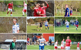 NH betygs�tter herrlagens silly season