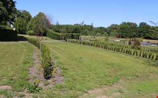 Debatt: Till dig som stj�l gravdekorationer p� Onsala kyrkog�rd 