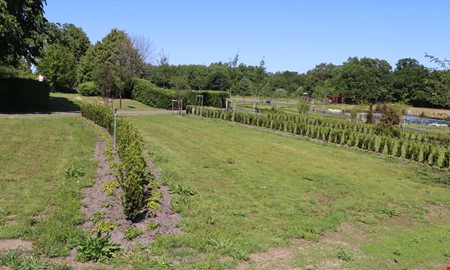 Debatt: Till dig som stj�l gravdekorationer p� Onsala kyrkog�rd 