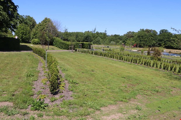 Debatt: Till dig som stj�l gravdekorationer p� Onsala kyrkog�rd 