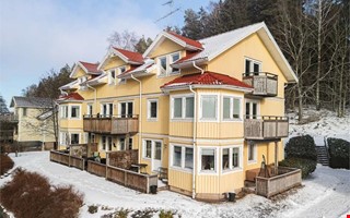 M�nga nyfikna p� l�genhet med altan i kv�llssol