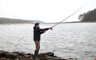 �ringpremi�r i Kungsbacka: �B�sta v�rtecknet�