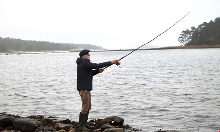 �ringpremi�r i Kungsbacka: �B�sta v�rtecknet�