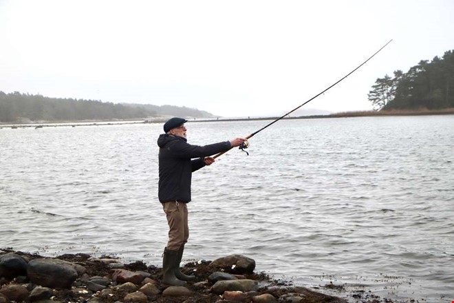 �ringpremi�r i Kungsbacka: �B�sta v�rtecknet�