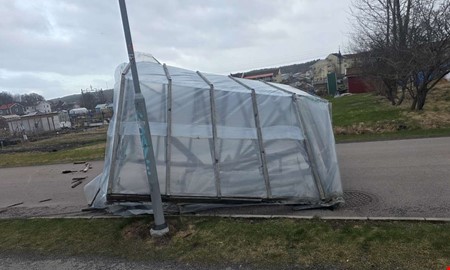 Stormen Dave fick v�xthus att flyga genom omr�det