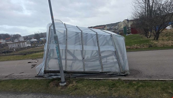 Stormen Dave fick v�xthus att flyga genom omr�det