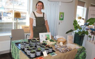 Catharina minns fredagar med fortet i tv-rutan