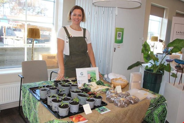 Catharina minns fredagar med fortet i tv-rutan