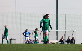 Profilv�rvningen som knappt kommer spela