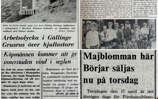 40 �r sedan: Rasolycka och strejkande elever