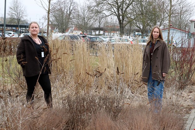 Unga lockas till att tj�na pengar med hj�lp av sex