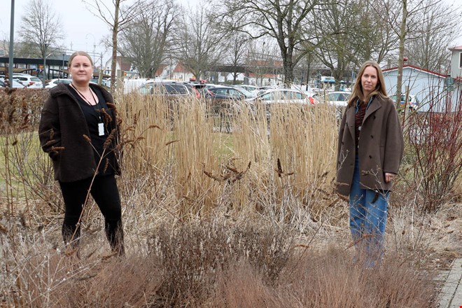 Unga lockas till att tj�na pengar med hj�lp av sex