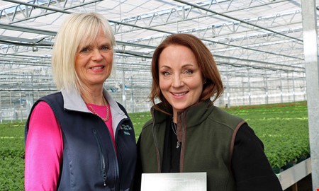 Rusning till v�xthuset n�r bloggaren inspirerade