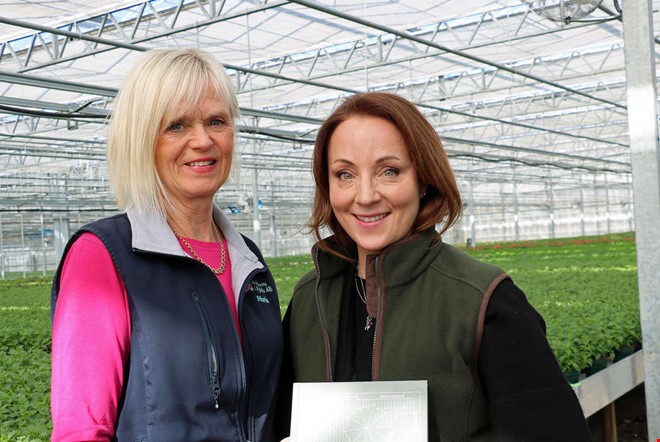 Rusning till v�xthuset n�r bloggaren inspirerade