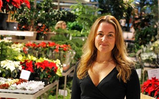 Centrumledaren lockas av �ver Atlanten