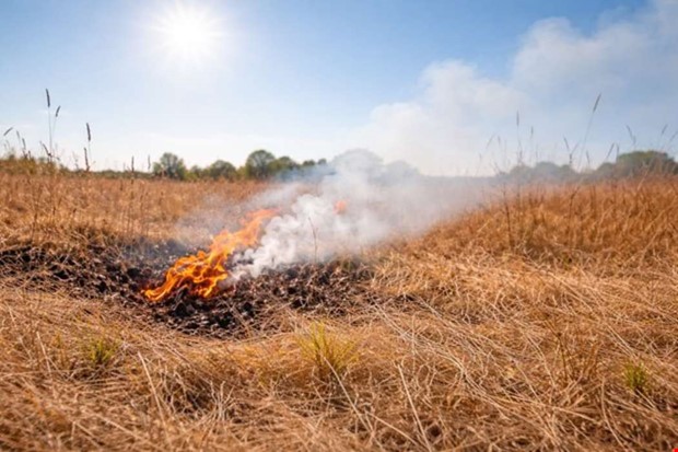 Stor brandrisk – SMHI utfärdar varning Stor brandrisk – SMHI utfärdar varning
