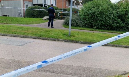 Efter handgranatsfynden i Fj�r�s � man d�ms