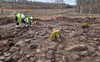 Forntida gravar blottas i v�gbyggets sp�r