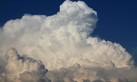 Solchans mitt i gr�v�dret �ver Kungsbacka