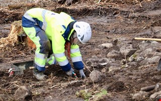 Film: H�r vilar gamla Onsalabor