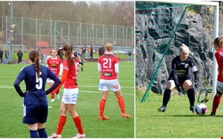 M�lvaktens skr�ckskada � fick sy tio stygn i huvudet