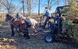 Brons�ldersh�gar rensas med h�st och vagn