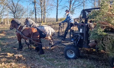 Brons�ldersh�gar rensas med h�st och vagn