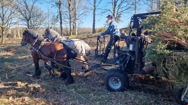 Brons�ldersh�gar rensas med h�st och vagn