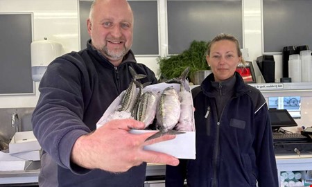 F�rsta makrillen s�ld � ena l�dan till Kullavik 