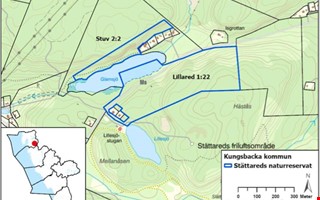 Mer skog ska skyddas � nytt reservat p� g�ng