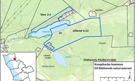 Mer skog ska skyddas � nytt reservat p� g�ng